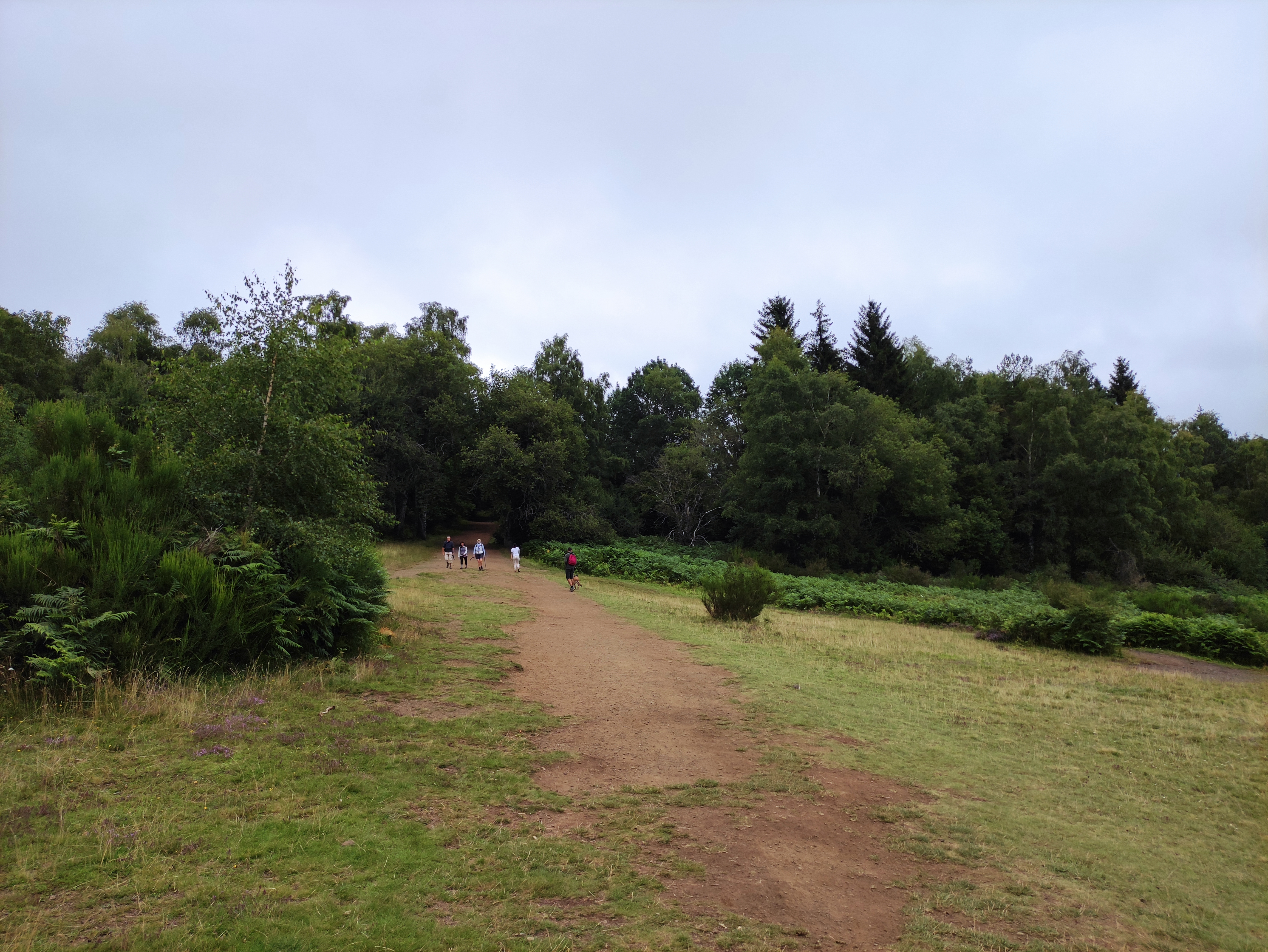 Photo n° 17 de l'avis de Bruno.A fait le 18/08/2021 à 16:34