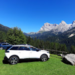 Photo n°2 de l'avis de augusto.e fait le 18/08/2021 à 15:21 sur le  Dismoni à Primiero San Martino di Castrozza