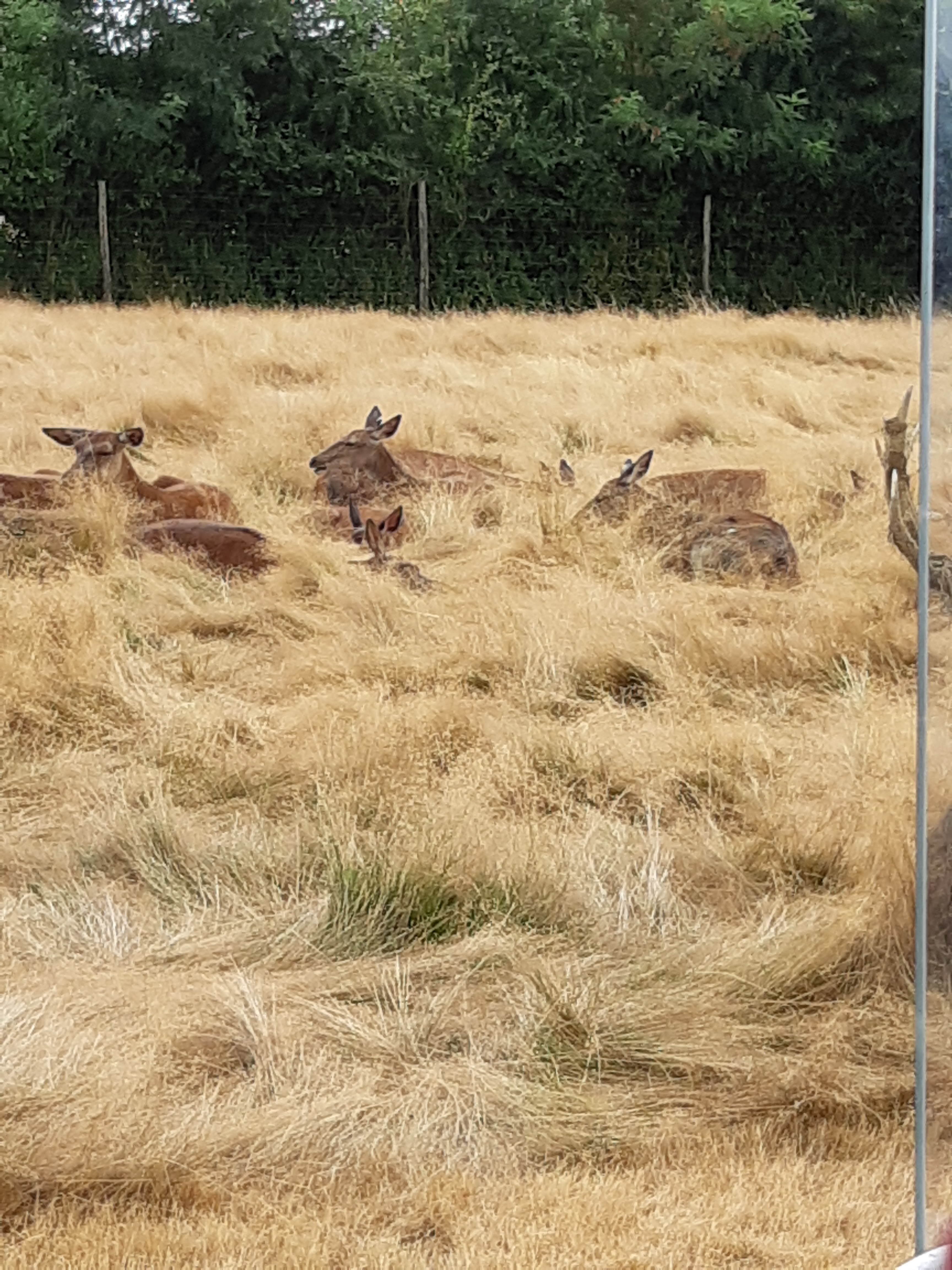 Photo n° 6 de l'avis de Carla.a fait le 10/08/2018 à 15:54