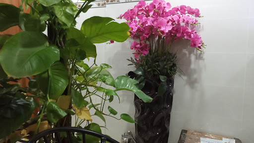 Top 18 cửa hàng glamira Thành phố Bến Tre Bến Tre 2022