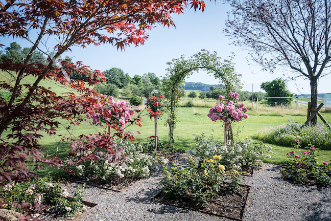 Gartenbau Markus Stieger AG - Baden