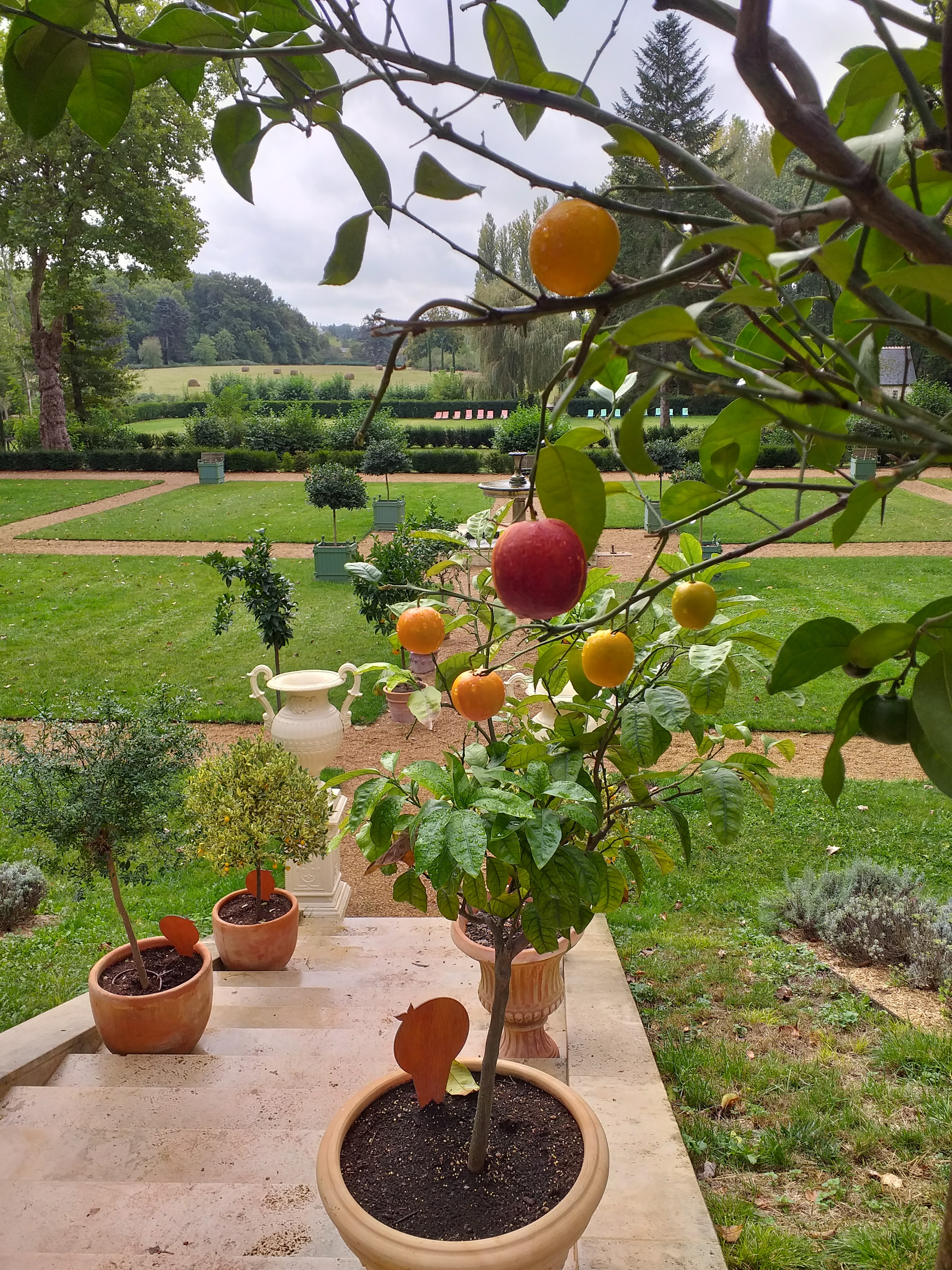 Photo n° 1 de l'avis de Estelle.i fait le 11/10/2020 à 20:03