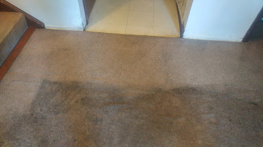 Clean Transformations Carpet Cleaning in Loves Park, Illinois