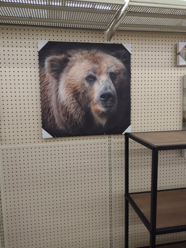 Craft Store «Hobby Lobby», reviews and photos, 505 N Foothills Plaza Dr, Maryville, TN 37801, USA