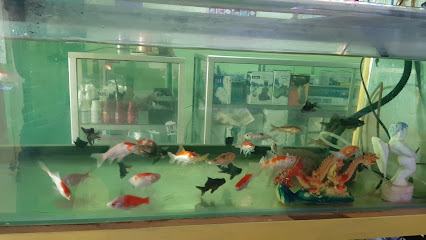 Rahmat Aquarium