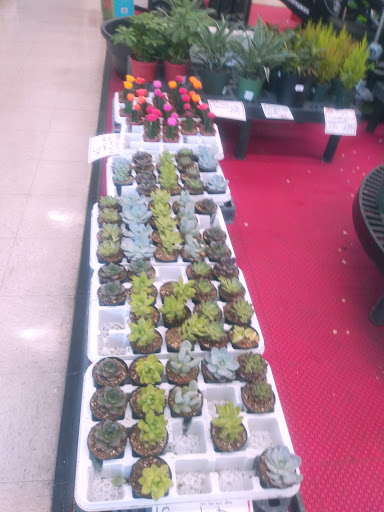 Hardware Store «L & M Lumber», reviews and photos, 4700 Lake Isabella Blvd, Lake Isabella, CA 93240, USA