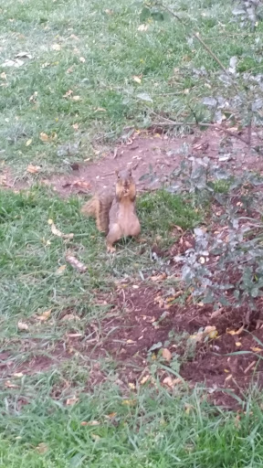 Park «Acacia Park», reviews and photos, 115 E Platte Ave, Colorado Springs, CO 80903, USA