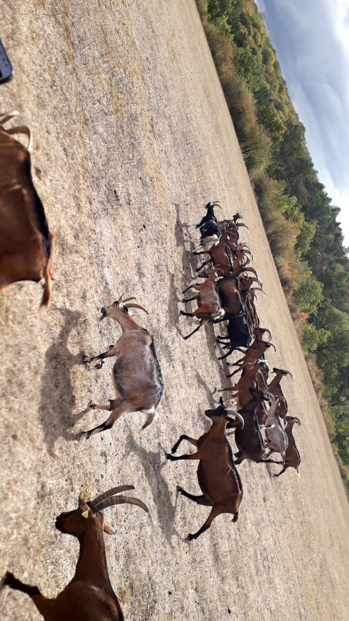 Photo n° 1 de l'avis de Jonathan-Thimothé.e fait le 24/09/2019 à 15:08