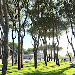 Photo n°1 de l'avis de matthias. fait le 08/09/2021 à 12:52 sur le  Hotel Bellevue & Resort à Jesolo