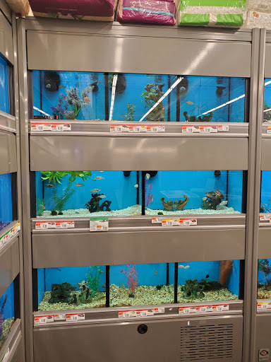 Pet Supply Store «Pet Supplies Plus», reviews and photos, 720 Hoosick Rd, Troy, NY 12180, USA