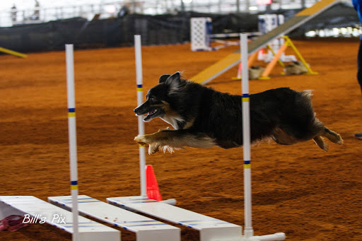 Golf Club «Polo West», reviews and photos, 2470 Greenview Cove Dr, Wellington, FL 33414, USA