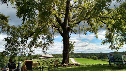 Winery «CeNita Vineyards, Winery & Tasting Room», reviews and photos, 591 Dock Dorsey Rd, Cleveland, GA 30528, USA