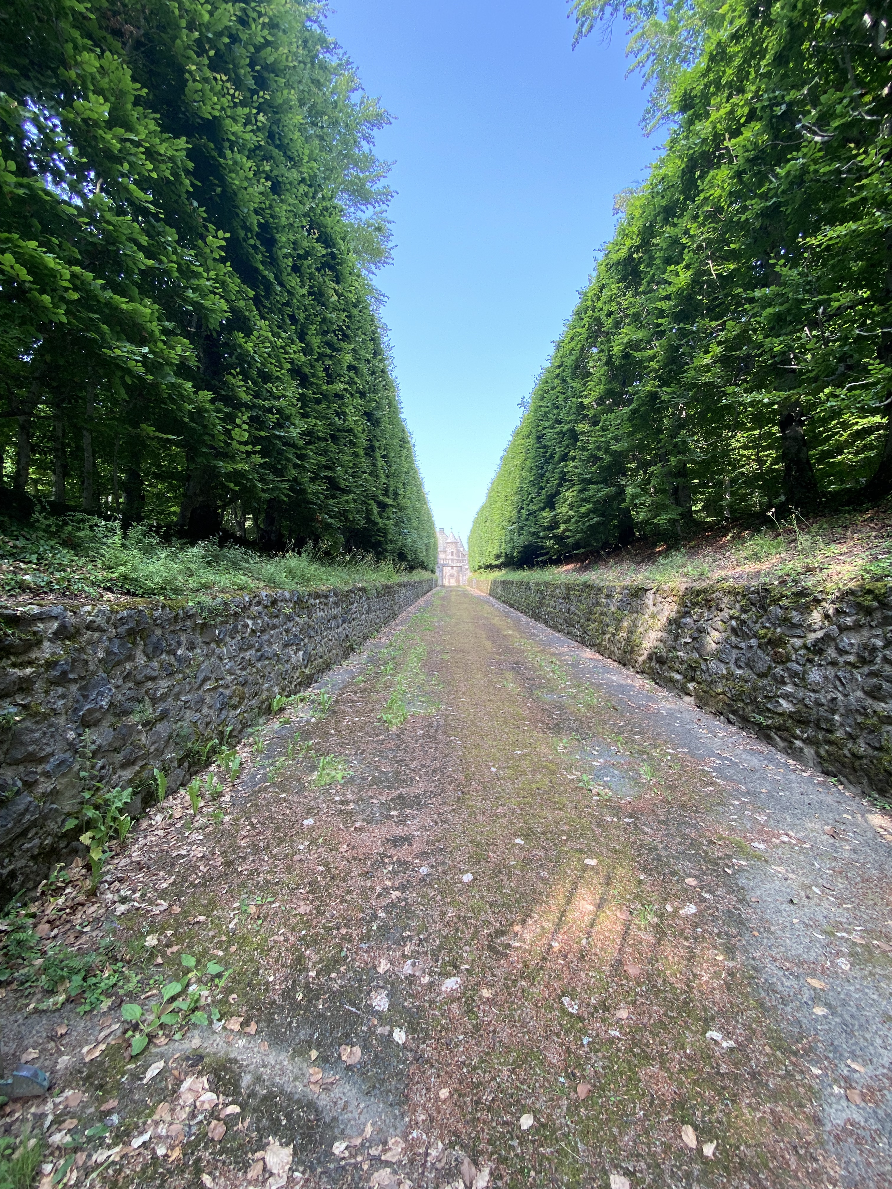 Photo n° 1 de l'avis de Danny.a fait le 27/06/2023 à 20:48