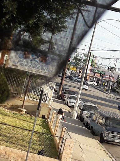 Ice Cream Shop «Boston Cream Doughnut», reviews and photos, 1009 W Anaheim St, Wilmington, CA 90744, USA