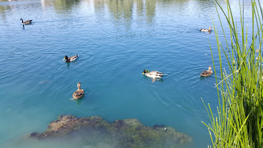 National Reserve «Riparian Preserve at Water Ranch», reviews and photos, 2757 E Guadalupe Rd, Gilbert, AZ 85234, USA