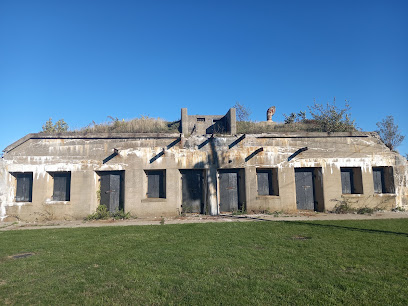 Tree Service South Portland