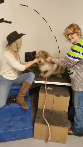 Pet Supply Store «Pet Place Market», reviews and photos, 213 Bendigo Blvd N #2, North Bend, WA 98045, USA