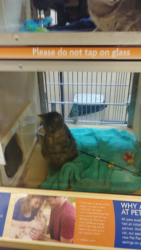 Pet Supply Store «PetSmart», reviews and photos, 2718 Legends Pkwy, Prattville, AL 36066, USA