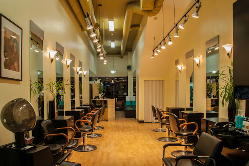 Le Salon Hair Studio
