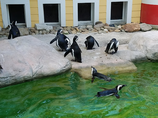 Park «Lowry Park», reviews and photos, 7525 North Blvd, Tampa, FL 33604, USA