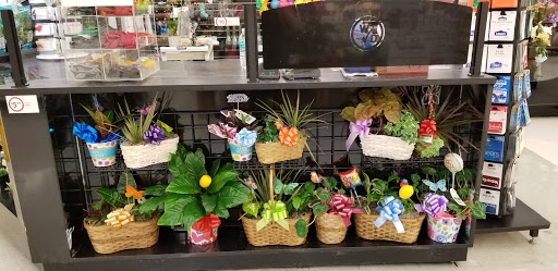 Grocery Store «Winn-Dixie», reviews and photos, 9864 Stringfellow Rd, St James City, FL 33956, USA