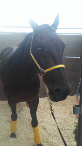 Casino «Hard Rock Rocksino Northfield Park», reviews and photos, 10777 Northfield Rd, Northfield, OH 44067, USA