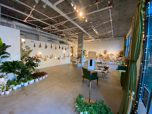 Florist «Ampersand», reviews and photos, 80 Albion St, San Francisco, CA 94103, USA