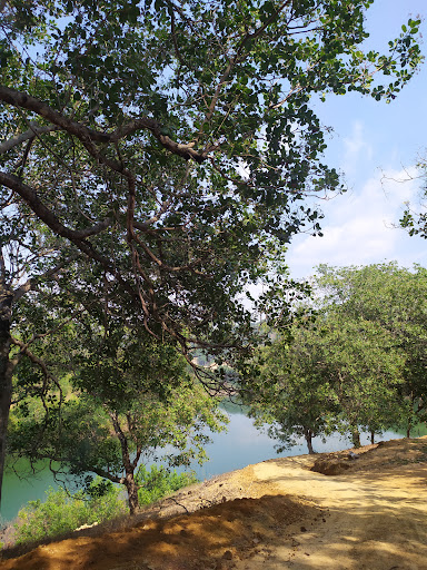 Top 20 background cửa hàng Huyện Cát Tiên Lâm Đồng 2022