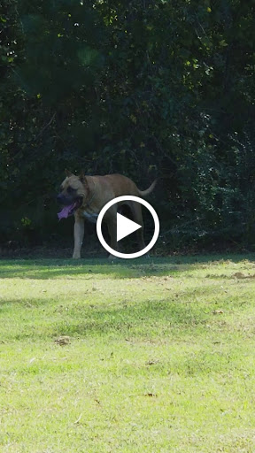 Park «Wade-Walker Park», reviews and photos, 5585 Rockbridge Rd, Stone Mountain, GA 30088, USA