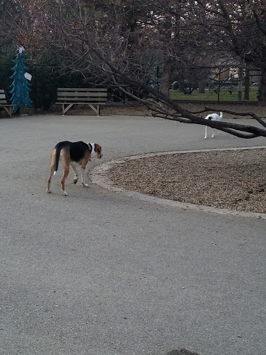 Dog Park «Norwood Park Dog Friendly Area», reviews and photos, 5850 N Avondale Ave, Chicago, IL 60631, USA