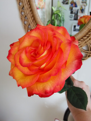 Department Store «Marshalls», reviews and photos, 270 NJ-35, Shrewsbury, NJ 07702, USA