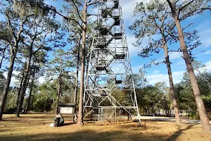 West Tower Osceola National Forest image