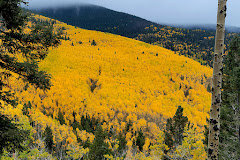 Aspen Vista Picnic Ground