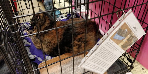 Pet Supply Store «PetSmart», reviews and photos, 2216 E Springs Dr, Madison, WI 53704, USA