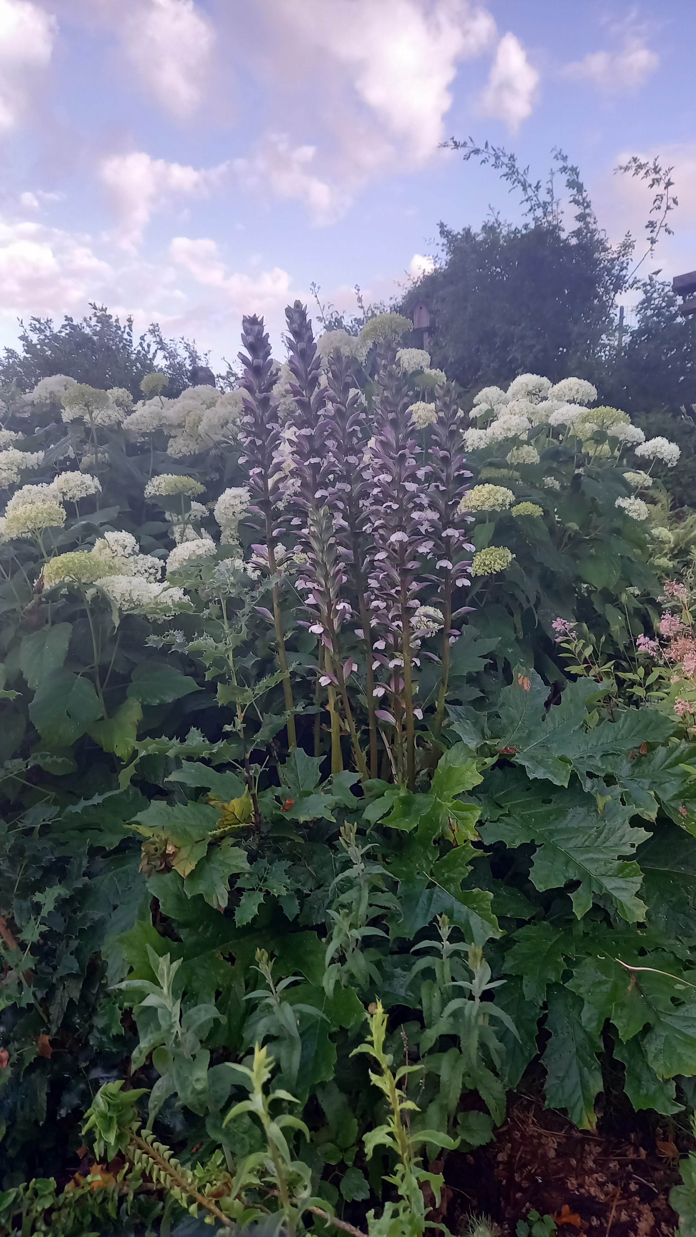 Photo n° 18 de l'avis de Nicolas.u fait le 20/06/2023 à 20:16