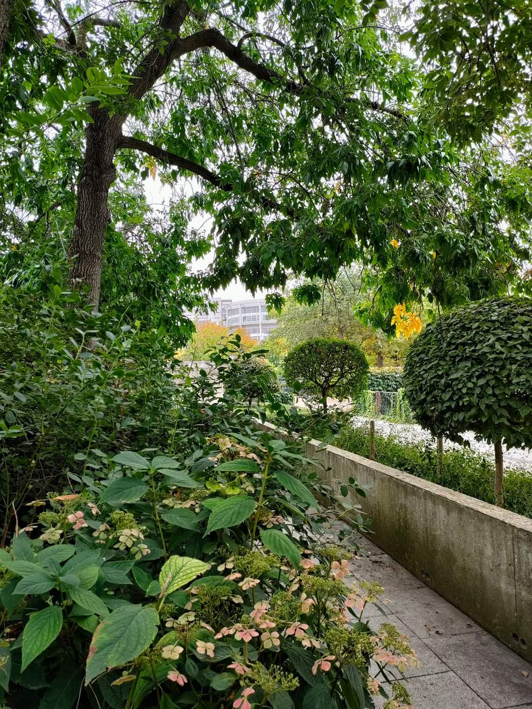 Photo n° 13 de l'avis de Nissa.z fait le 23/09/2022 à 21:23