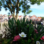 Photo n°3 de l'avis de Anja.. fait le 19/06/2017 à 13:26 sur le  Dattein à Neuharlingersiel