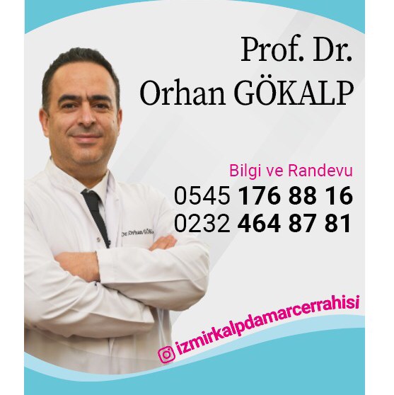 Prof Dr Orhan Gökalp