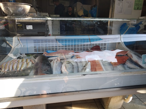 אודי בכור שיווק דגים טריים - Udi Fish