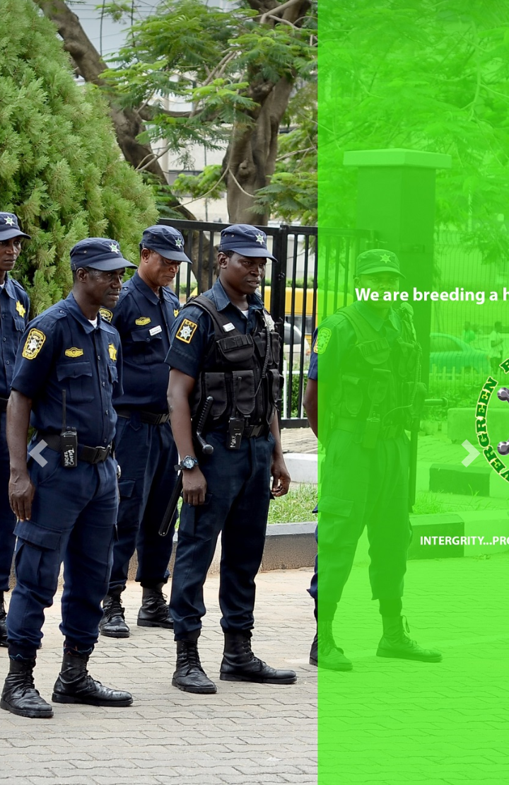 Evergreen Protective Services