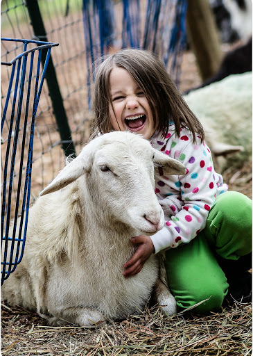 Tourist Attraction «Lucky Ladd Farms», reviews and photos, 4374 Rocky Glade Rd, Eagleville, TN 37060, USA