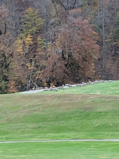 Golf Club «Clear Creek Golf Club», reviews and photos, 732 Harleywood Rd, Bristol, VA 24202, USA