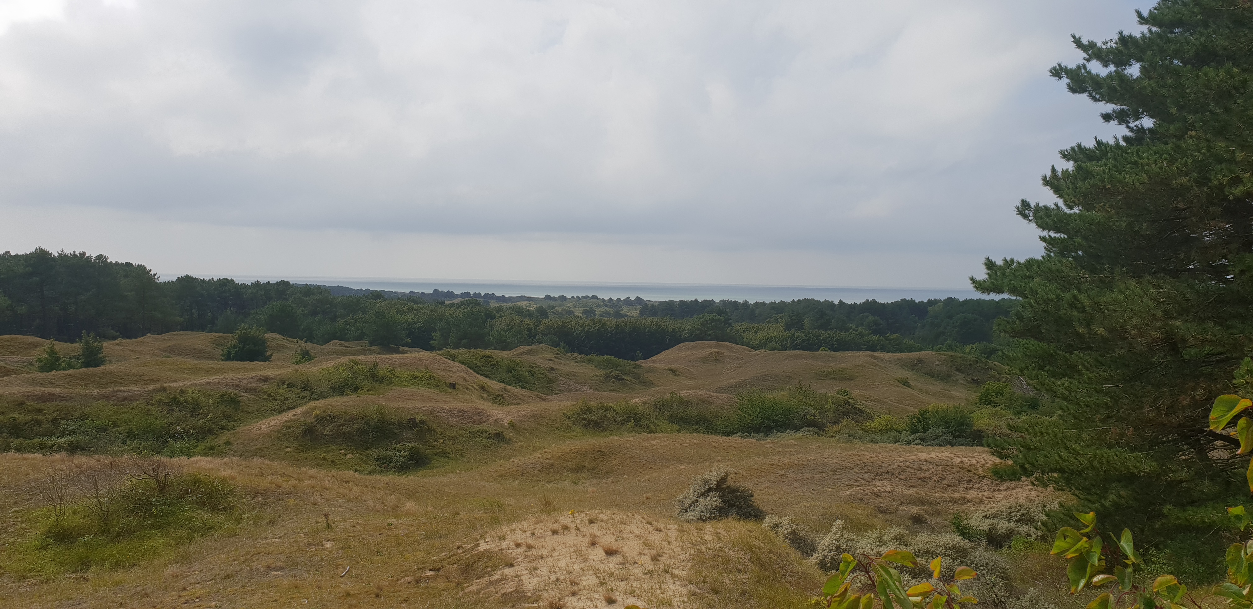 Photo n° 9 de l'avis de Floriant.o fait le 25/08/2023 à 13:28