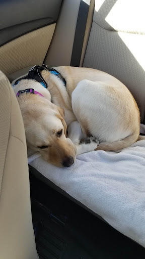 Appliance Store «Bayshore Appliance», reviews and photos, 1214 NJ-36, Hazlet, NJ 07730, USA