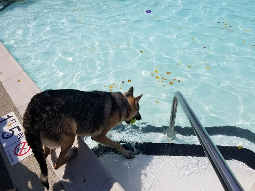 Park «Secor Woods Park», reviews and photos, Secor Rd, Hartsdale, NY 10530, USA