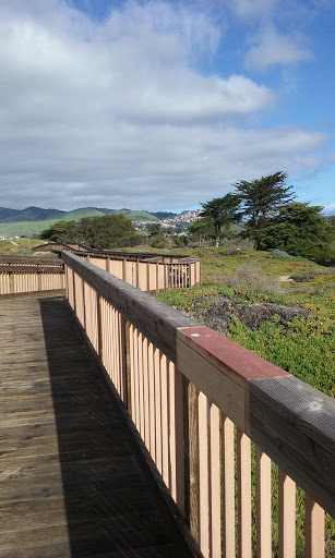 Nature Preserve «Monarch Butterfly Grove», reviews and photos, 400 S Dolliver St, Pismo Beach, CA 93449, USA