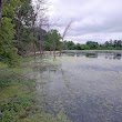 Celery Bog Nature Area