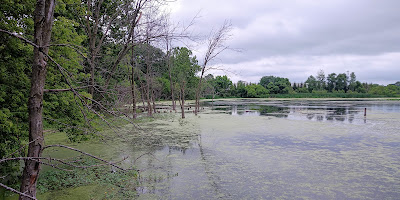 Celery Bog Nature Area