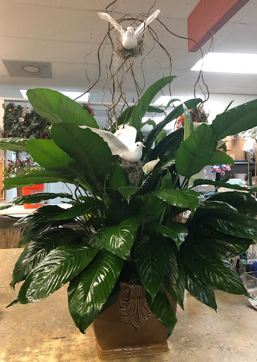 Florist «Buds Blooms & Beyond», reviews and photos, 11234 W Hillsborough Ave, Tampa, FL 33635, USA