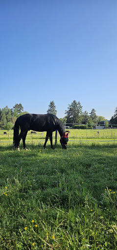 Hans Seybold Tierarzt unter Fürth, Bayern